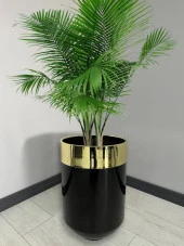 Dekoratif Gold Darbuka Parlak Siyah Saksı 60cm - 1