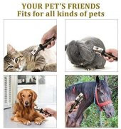 Ceenwes Profesyonel Evcil Hayvan Tıraş Makinesi Seti - 3