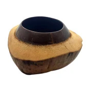 Coconut Hindistan Cevizi Kase Kabuklu Coconat Kase - 2