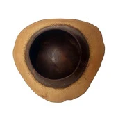 Coconut Hindistan Cevizi Kase Kabuklu Coconat Kase - 3