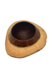 Coconut Hindistan Cevizi Kase Kabuklu Coconat Kase - 4