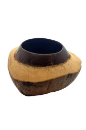 Coconut Hindistan Cevizi Kase Kabuklu Coconat Kase - 5