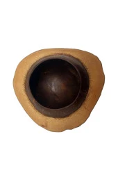 Coconut Hindistan Cevizi Kase Kabuklu Coconat Kase - 6