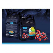 MyYem Selection Meyveli Muhabbet Yemi 1kg - 1