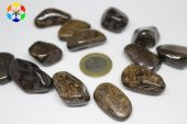 Bronzit Taşı Tamburlanmış Orta Boy 14-20 gram thumbnail 1
