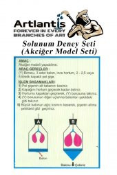 Solunum Deney Seti 7 Parça 1 Paket Akciğer Model Seti Y Boru Tıpa Balon Okul Sınıf Deney Seti - 3