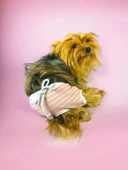 Pink Shine Kemique's Secret Köpek İç Çamaşırı Regl Külot Don - 5