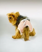 Pink Shine Kemique's Secret Köpek İç Çamaşırı Regl Külot Don - 9