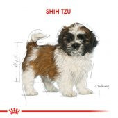 Royal Canin Shihtzu Yavru Köpek Maması 1,5 Kg - 2