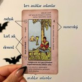 REGİN BAŞLANGIÇ TAROT DESTESİ - 2