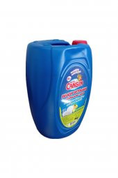 CANSIN  Bulaşık Deterjanı 4kg + Asprins Çok Amaçlı Temizleyici 4 Kg - 2