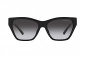 Emporio Armani EA4203U 50178G 55 Kadın Güneş Gözlüğü - 2