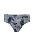 Tutku İç Giyim Erkek Çocuk Renkli Empirme Slip Külot 6 lı Paket - 4