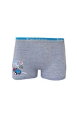 12li Erkek Çocuk Renkli  Baskılı Boxer Külot 1005 - 5