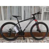 SALCANO NG 650 29 JANT HİDROLİK DİSK DAĞ BİSİKLETİ - 1