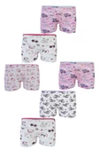 Tutku İç Giyim 6lı Kız Çocuk Desenli Likralı Pamuk Boxer Külot thumbnail 1
