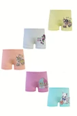 5li Kız Çocuk Pamuklu Likralı Baskılı Şort Kız Çocuk Boxer thumbnail 4