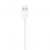 Apple UsbA to Lightning Kablo 1metre MXLY2ZM/A Apple Türkiye Garantili - 3
