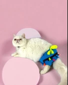 Blue Tufty Kemique's Secret Kedi İç Çamaşırı  Regl Külot  Don thumbnail 2