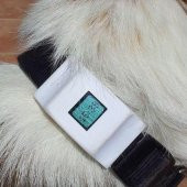 Köpek Tasması İçin Fitbit Zip Kutusu Plastik Aparat - 3