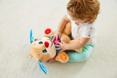 Fisher Price Fisher Price Eğitci Köpekçik (Türkçe) - 11
