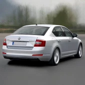 Skoda Octavia 3 2013-2017 Arka Plaka Aydınlatma Lambası 5N0943021B - 2