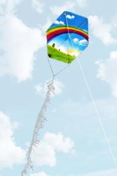 Altıgen Karışık Uçurtma thumbnail 2