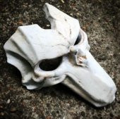 Ölüm - Maske (Tam Boy / Giyilebilir) Plastik Aparat - 6
