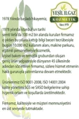 Yeşil Çay Buhurdanlık Yağı 10 Ml - 5'li Eko Paket Doğal Uçucu Yağ Dinlendirici Etkili - 3