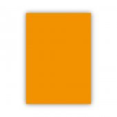 Bigpoint Fon Kartonu 50x70cm 160 Gram Turuncu 100'lü Paket - 1