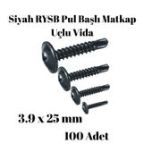 Rysb 3,9x25 mm 100 Adet Siyah Pul Başlı Matkap Uçlu Vida Otomatik Vida thumbnail 2