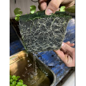 TOHUM ÇİMLENDİRME SÜNGERİ 4 ADET - 6