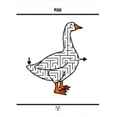 Süper Ötesi Temalı Labirent Kitabı - 4