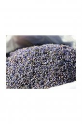 Cemilefendi Lavanta Kurusu Çiçeği 500 gram - 1