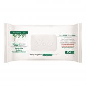 Sleepy Easy Clean Yüzey Temizlik Havlusu 100 Yaprak 8 Paket - 2
