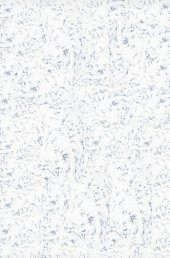 Organik İpek Sıva - Dekoratif Yalıtım Sıvası - Ses & Isı & Nem Yalıtımı  - İZO-059  - 4 m2 thumbnail 1