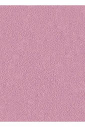 Organik İpek Sıva - İZO-006-YR  - 2 MT2 (1/2 BOYUT) - Dekoratif Ses & Isı & Nem Yalıtım Sıvası thumbnail 3