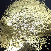 GLİTTER ALTIGEN EPOKSİ SÜSLEME PULU NAİL ART MAKYAJ SİM GOLD 100 GR - 2