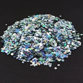 GLİTTER  EPOKSİ SÜSLEME PULU HOLOGRAMLI NAİL ART MAKYAJ ALTIGEN SİM SET 20 GRAM x 3 MODEL 60 GR - 4