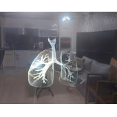 Şeffaf Ters Projeksiyon hologram filmi (152X100mm) - 1