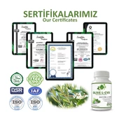 Gökçek Şifa Zeytin L-kvd Kapsül (OLİVE L-CVD CAPSULE) 60 Adet thumbnail 5