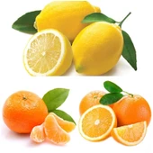 3'lü Narenciye Fidanı Paketi (Limon Portakal Mandalin) - 1