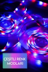 5 METRE 16 RENK ŞETİR LED - 6