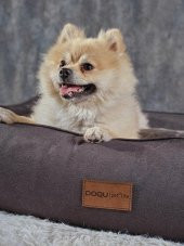 Doqu Home Dogbed Evcil Hayvan Yatağı Antrasit Gri 2Q9YTKKOPKA010001 - 1