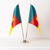 Kamerun 2li Masa Bayrağı Saten Kumaş Dijital Baskı 15x22,5 cm thumbnail 1
