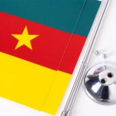 Kamerun 2li Masa Bayrağı Saten Kumaş Dijital Baskı 15x22,5 cm thumbnail 2