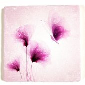 Şeker Portakalım Dekoratif Figürlü Doğal Taş Banyo Gider Kapağı Süsü Tekli 10X10 Cm - 1