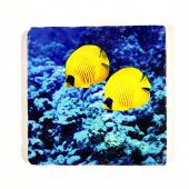 Şeker Portakalım Dekoratif Figürlü Doğal Taş Banyo Gider Kapağı Süsü Tekli 10X10 Cm - 1