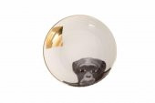 Porland Wild Life 4Iü Kase Takımı 17 cm 04ALM007059 - 2