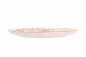 Porland Cosmos Desen1 Düz Tabak 24 cm 04ALM006663 - 3